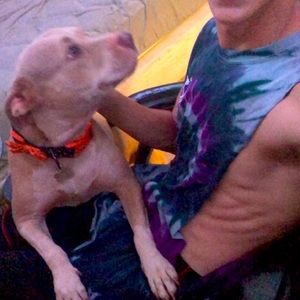 Meet your Posher, Colin